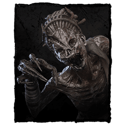 Hag